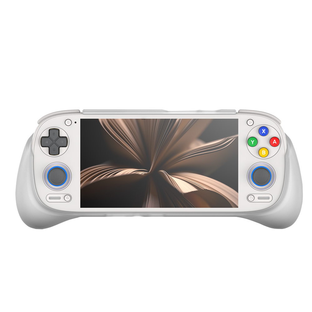 リーボルニック RP5 ビッグケース グリップ付き レトロイ - Gaming Console Bag のレビューと価格